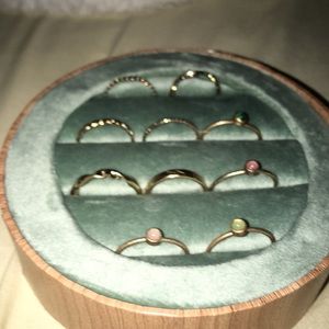 Ring organizer with rings